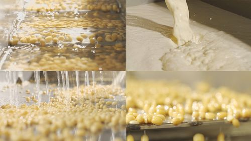 豆制品消泡劑應用場景圖